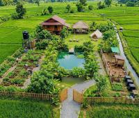 ĐẤT VƯỜN LỘ CÁI CHANH- CÁCH KDC ĐÔNG PHÚ TP CẦN THƠ CHỈ 1.5km