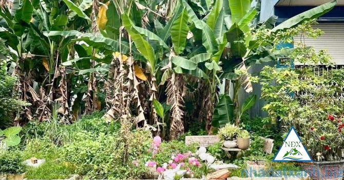 🌱 BÁN NỀN ĐẸP ĐƯỜNG B8 KDC HƯNG PHÚ - P. HƯNG PHÚ - TP CẦN THƠ