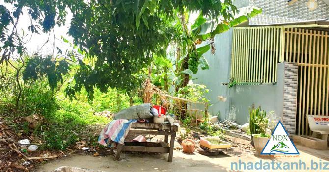 🌱 BÁN NỀN ĐƯỜNG SỐ 5 KDC TÂN PHÚ THẠNH, XÃ CHÂU THÀNH A, TP CẦN THƠ  - Diện tích 4 x 23 = 92 m2