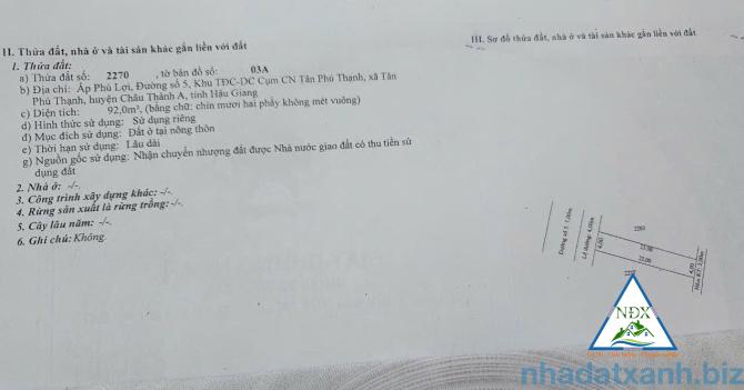 🌱 BÁN NỀN ĐƯỜNG SỐ 5 KDC TÂN PHÚ THẠNH, XÃ CHÂU THÀNH A, TP CẦN THƠ  - Diện tích 4 x 23 = 92 m2