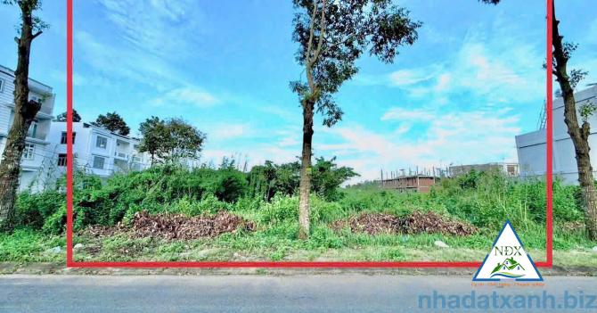 🌱 CẶP NỀN 220M2 MẶT TIỀN ĐƯỜNG PHƯỢNG HOÀNG - KDC HOÀNG QUÂN - XÃ MỸ HOÀ - TX. BÌNH MINH