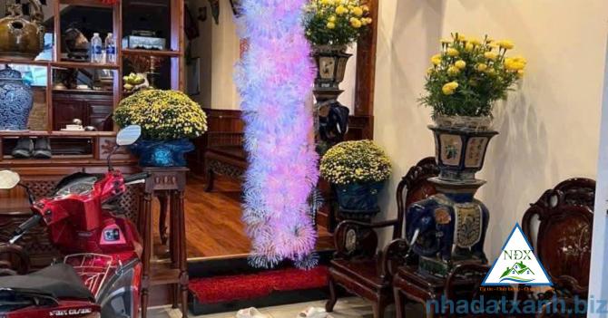 CG Bán nhà trệt 2 lầu đường Lê Lai, kế bên công viên Lưu Hữu Phước, P. An Phú, Ninh Kiều