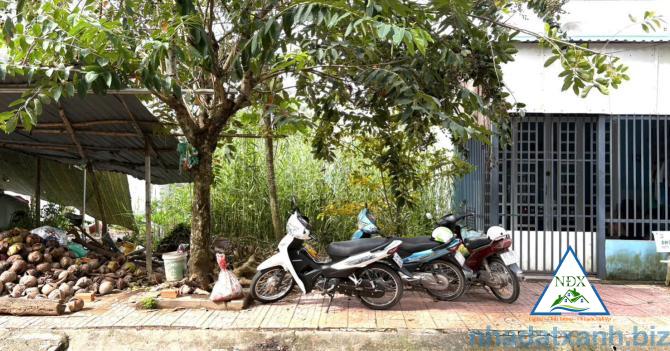 NỀN RẺ NHẤT KHU XUNG QUANH XÂY KÍN ĐÔNG ĐÚC GIẢM GIÁ BÁN NHANH CÒN 1.95 tỷ  NỀN 72m2 ĐẸP KO VƯỚNG