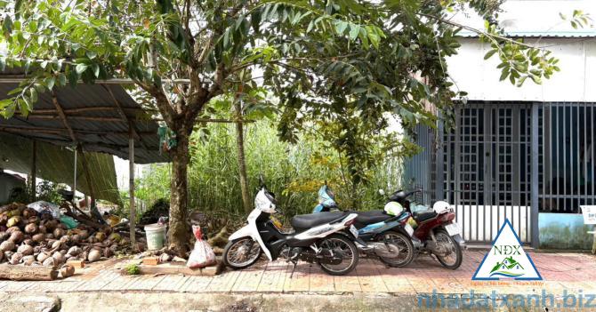 NỀN RẺ NHẤT KHU XUNG QUANH XÂY KÍN ĐÔNG ĐÚC GIẢM GIÁ BÁN NHANH CÒN 1.95 tỷ  NỀN 72m2 ĐẸP KO VƯỚNG