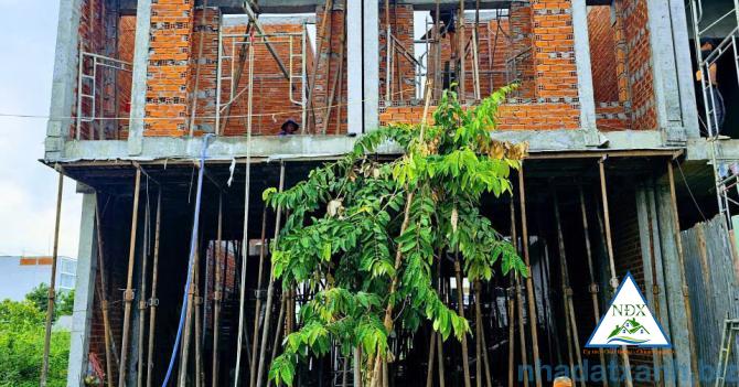 🌸NHÀ VỊ TRÍ SÁNG ĐẸP ĐÔNG DÂN CƯ, GẦN SÁT TRƯỜNG TIỂU HỌC PHÚ THỨ