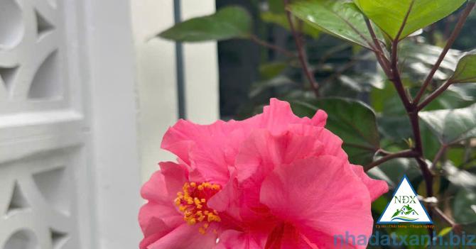 VỊ TRÍ NỀN SÁNG ĐẸP CÓ HẺM KỸ THUẬT BÊN HÔNG  Bán Nền 90m² - Hẻm Kỹ Thuật Bên Hông 2M