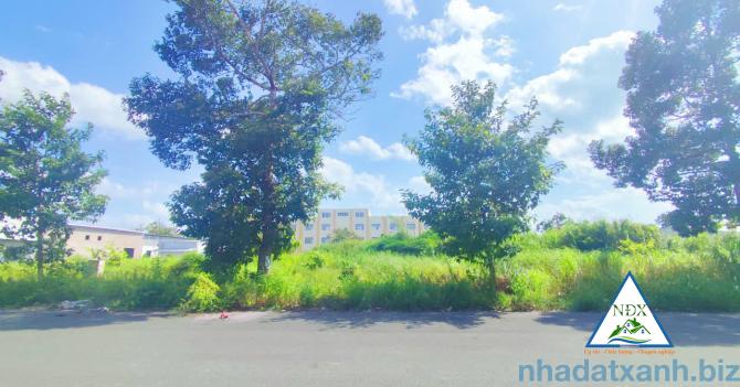 VỊ TRÍ NỀN SÁNG ĐẸP GẦN TRƯỜNG CẤP 2 & MẦM NON  Bán Nền 100m² Giá Tốt - Mặt Tiền Lộ Lớn 28m - A4